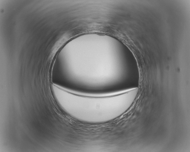 X0000070430099200606091013