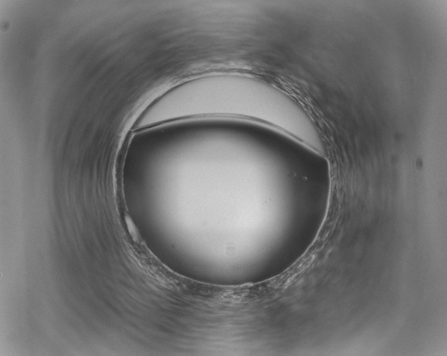 X0000070430148200606091012