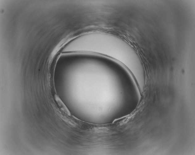 X0000070430150200606091012