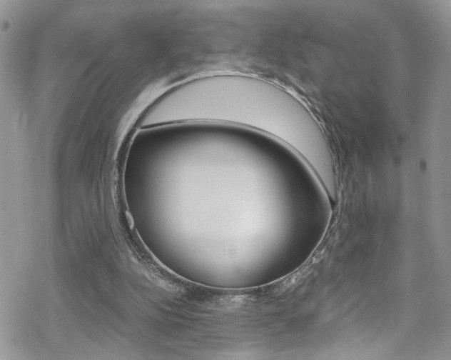 X0000070430152200606091012