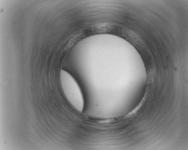 X0000070430178200606091012