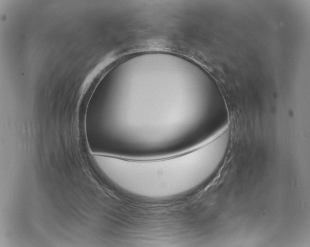X0000070430200200606091011