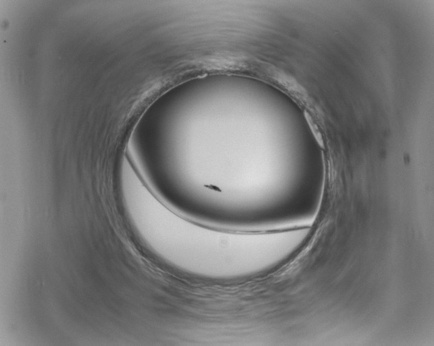 X0000070430201200606091011