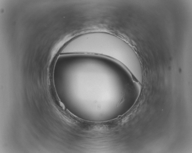 X0000070430248200606091010