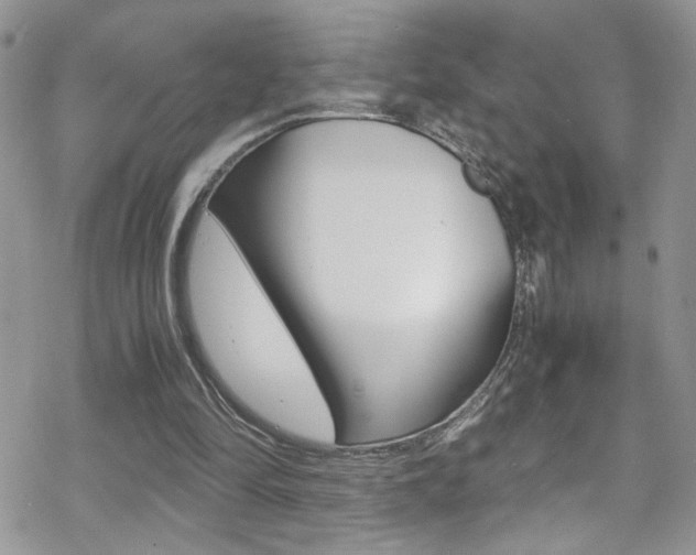 X0000070430294200606091010