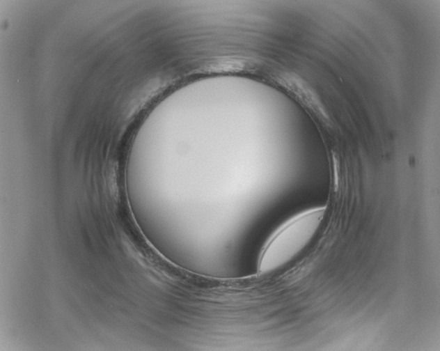 X0000070430300200606091010