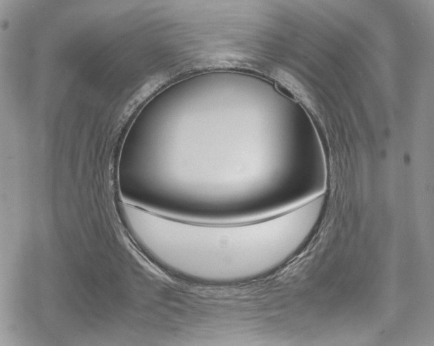 X0000070430389200606091008