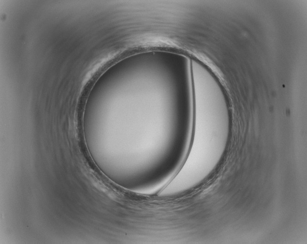 X0000070430391200606091008
