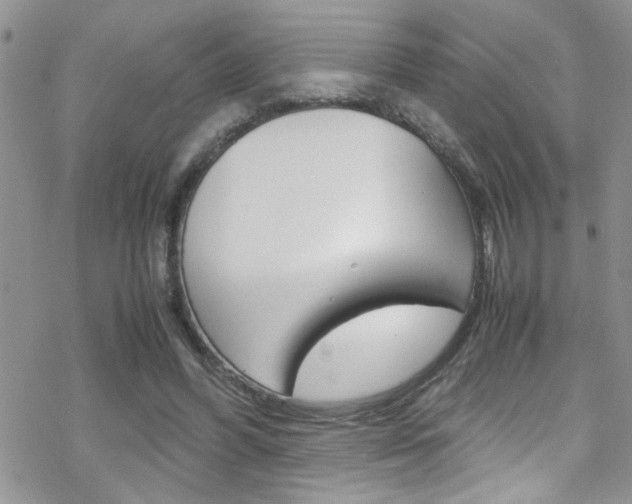 X0000070430396200606091008