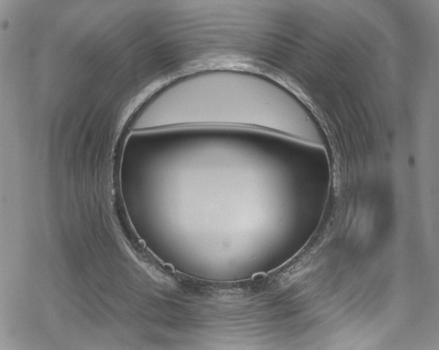 X0000070430438200606091007