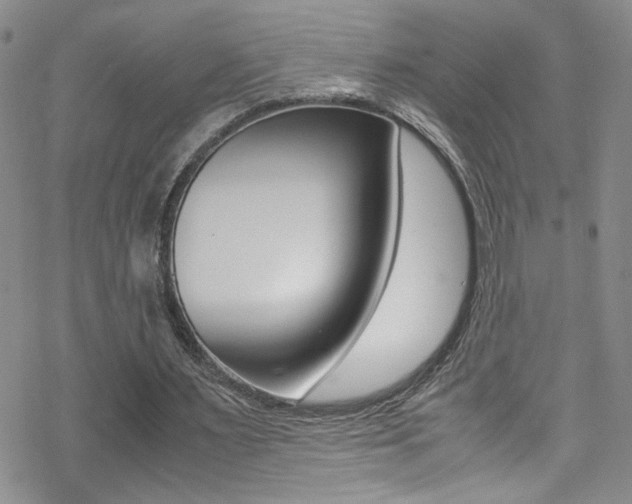 X0000070430483200606091007