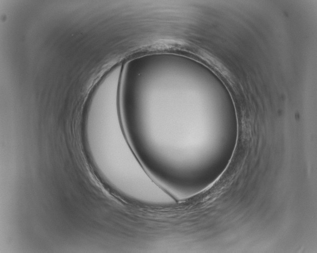 X0000070430485200606091007