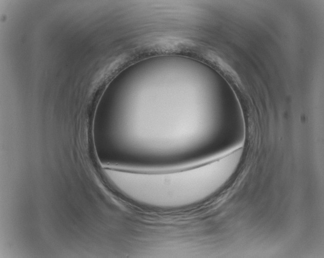 X0000070430493200606091007