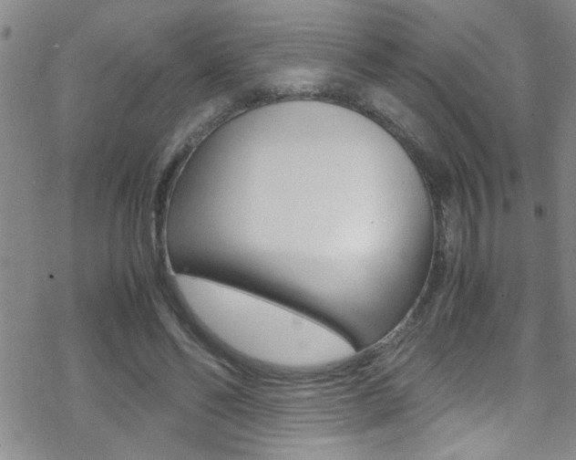 X0000070430494200606091007