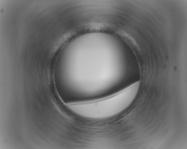 X0000070430496200606091007