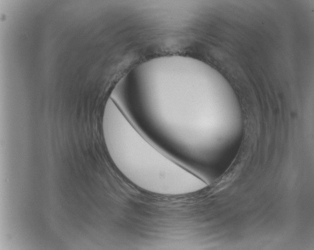 X0000070430624200606091004