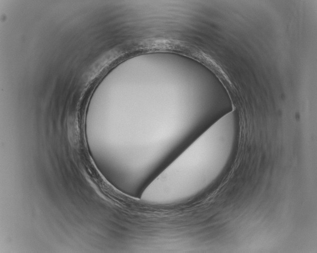 X0000070430674200606091004