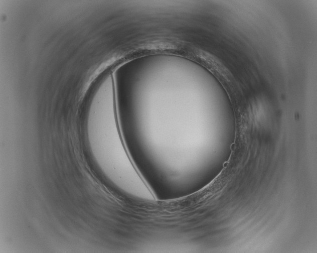 X0000070430727200606091002