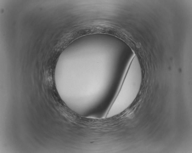 X0000070430771200606091002