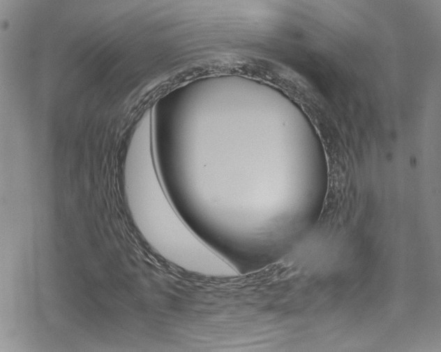X0000070430773200606091002