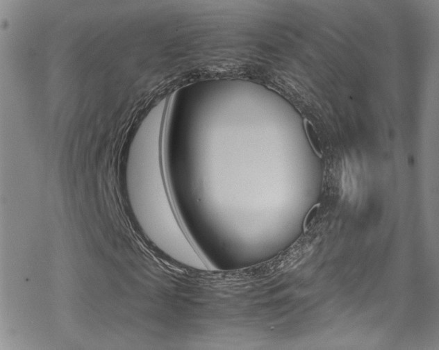 X0000070430817200606091001
