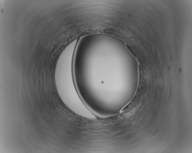 X0000070430818200606091001