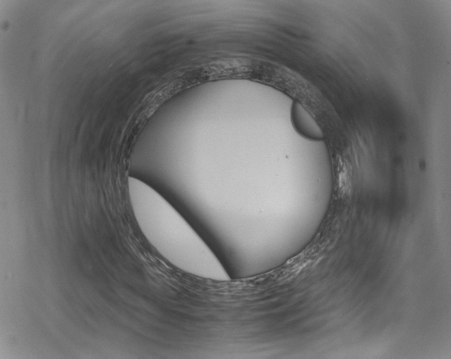 X0000070430819200606091001