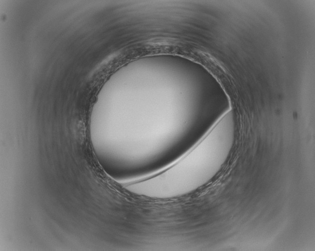 X0000070430821200606091001