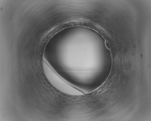 X0000070430822200606091001
