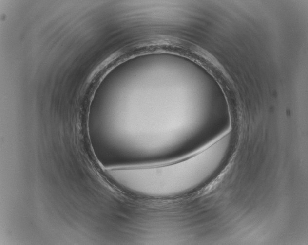 X0000070430826200606091001