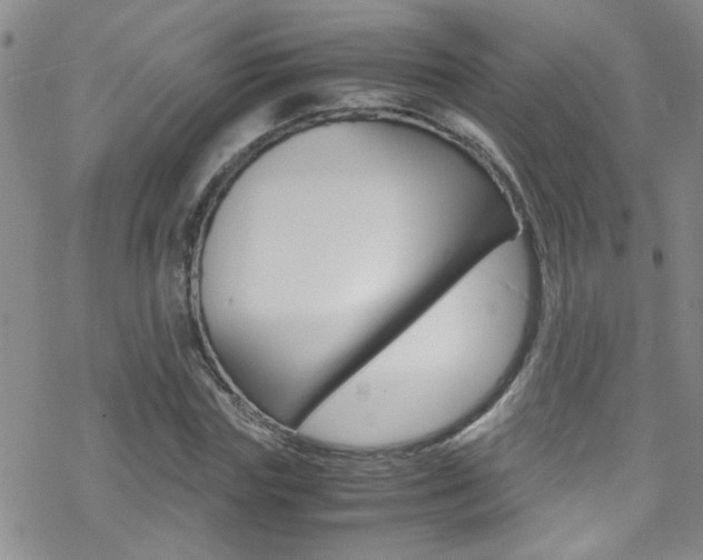 X0000070430827200606091001