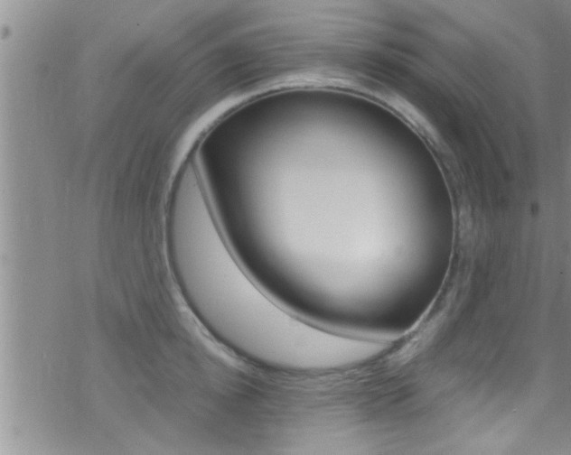 X0000070430854200606091001