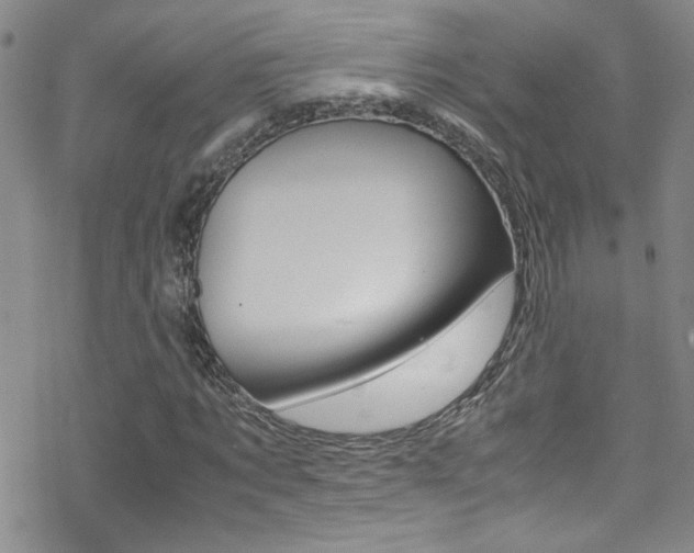 X0000070430869200606091000
