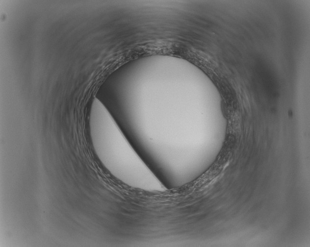 X0000070430913200606090959