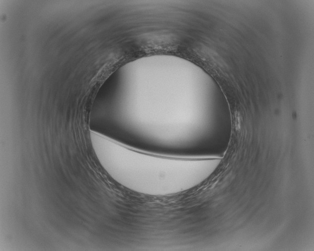 X0000070430915200606090959