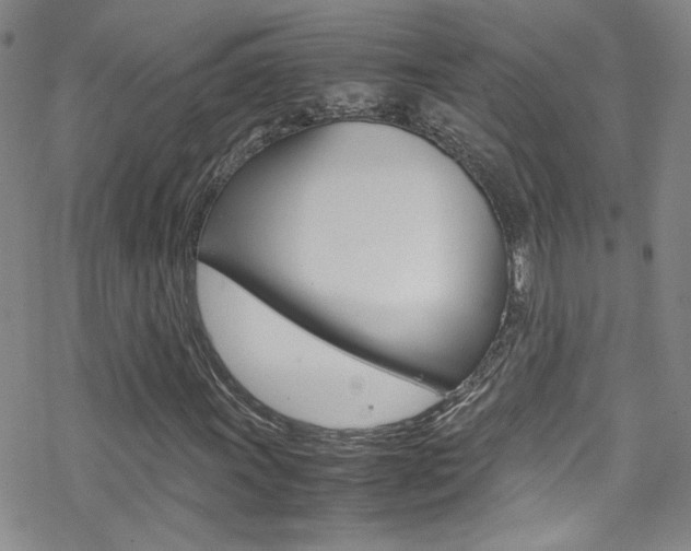 X0000070431011200606090957