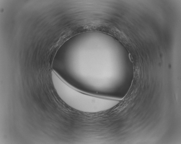 X0000070431012200606090957