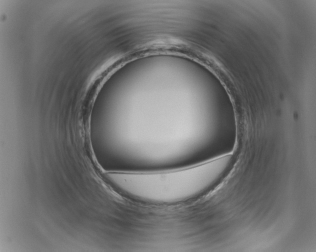 X0000070431018200606090958
