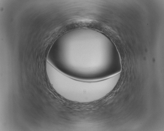 X0000070431061200606090957