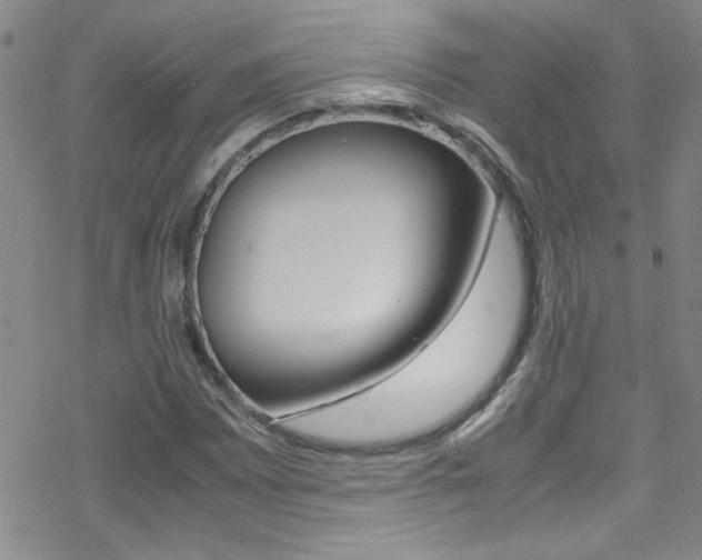 X0000070431065200606090957