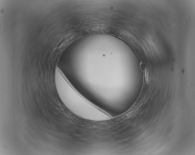 X0000070431107200606090956