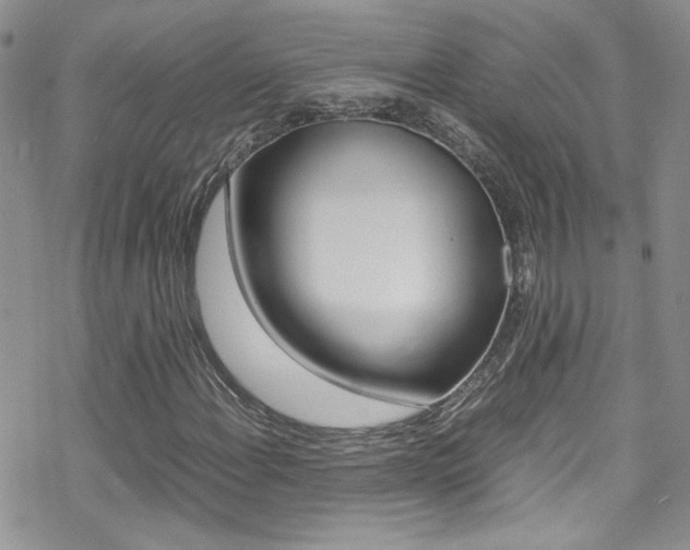 X0000070431108200606090956