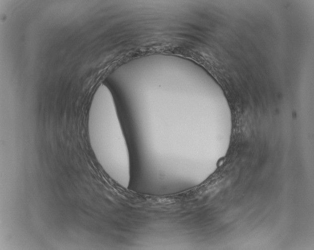 X0000070431109200606090956