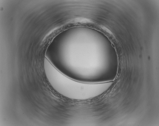 X0000070431112200606090956