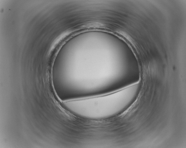 X0000070431115200606090956