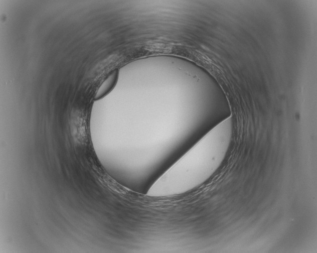 X0000070431154200606090956