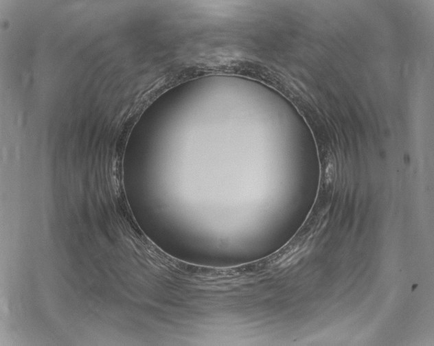 X0000070431156200606090956