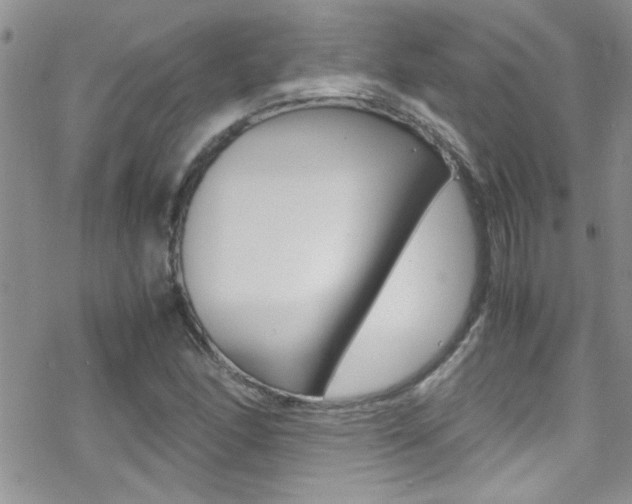 X0000070431166200606090956