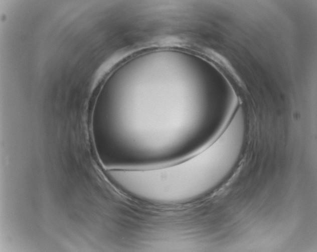 X0000070431176200606090955