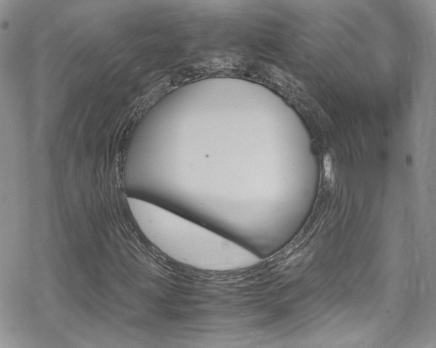 X0000070431203200606090954